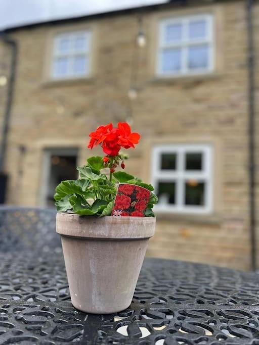 Olive Holiday Cottage Matlock ماتلوك المظهر الخارجي الصورة